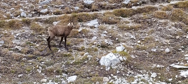 grimpant la cime Vihren et la cime Kutelo